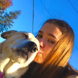 Meet your Posher, Bruce the service